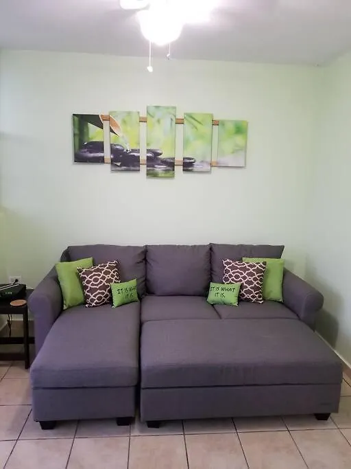 Jamrican Penthouse Fajardo Appartement