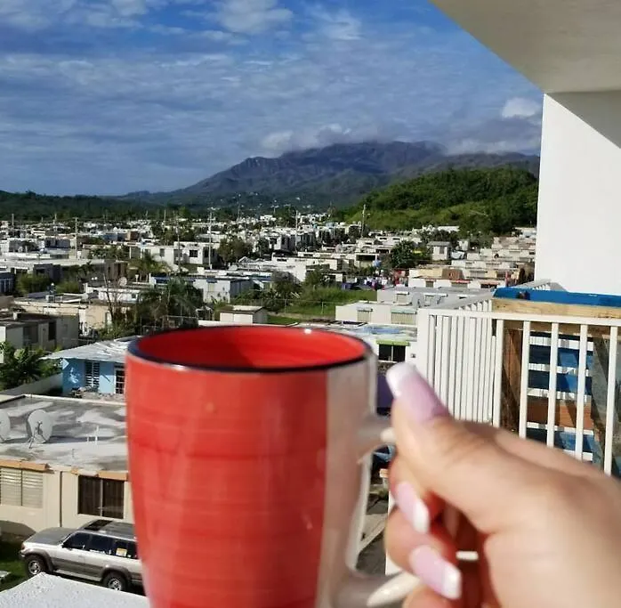 Jamrican Penthouse Fajardo Appartement