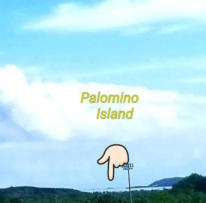 Jamrican Penthouse 파하르도
